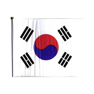 400 태극기(수기/비닐) 20*30