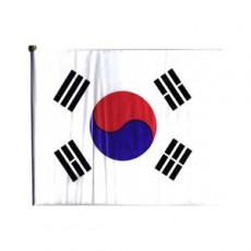 400 태극기(수기/비닐) 20*30