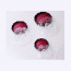 원형인주(중)
