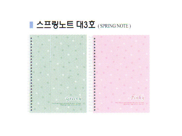 3000대 스프링노트