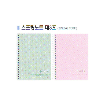 3000대 스프링노트