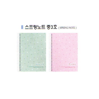 3000중 스프링노트